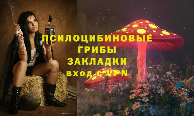 Псилоцибиновые грибы Magic Shrooms  хочу   Рославль 